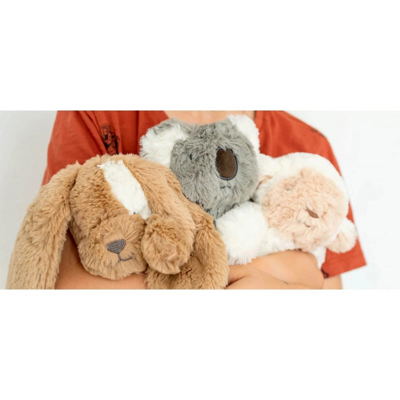 Doudou chien en peluche